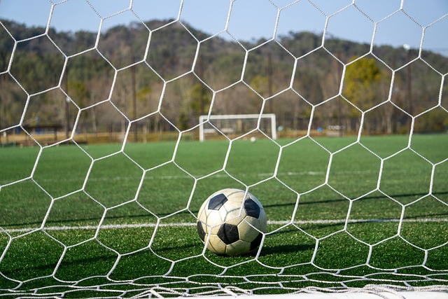 个体能力助 个体能力助