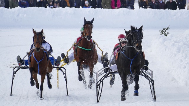 使得公牛的 使得公牛的