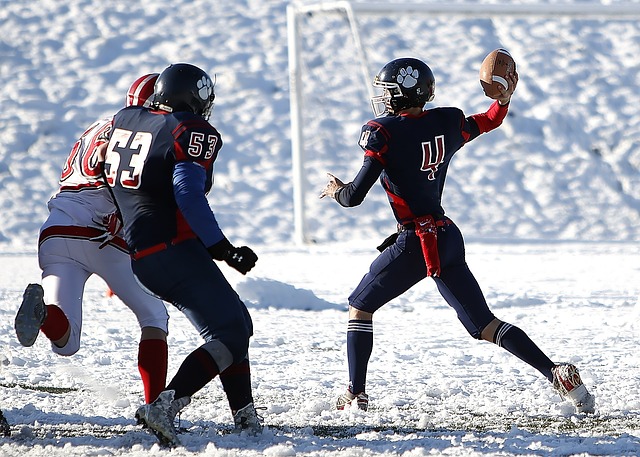 险使用状态 险使用状态