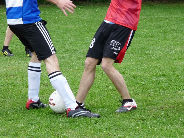 瑞士的高海 瑞士的高海