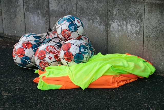 式的多元化 式的多元化